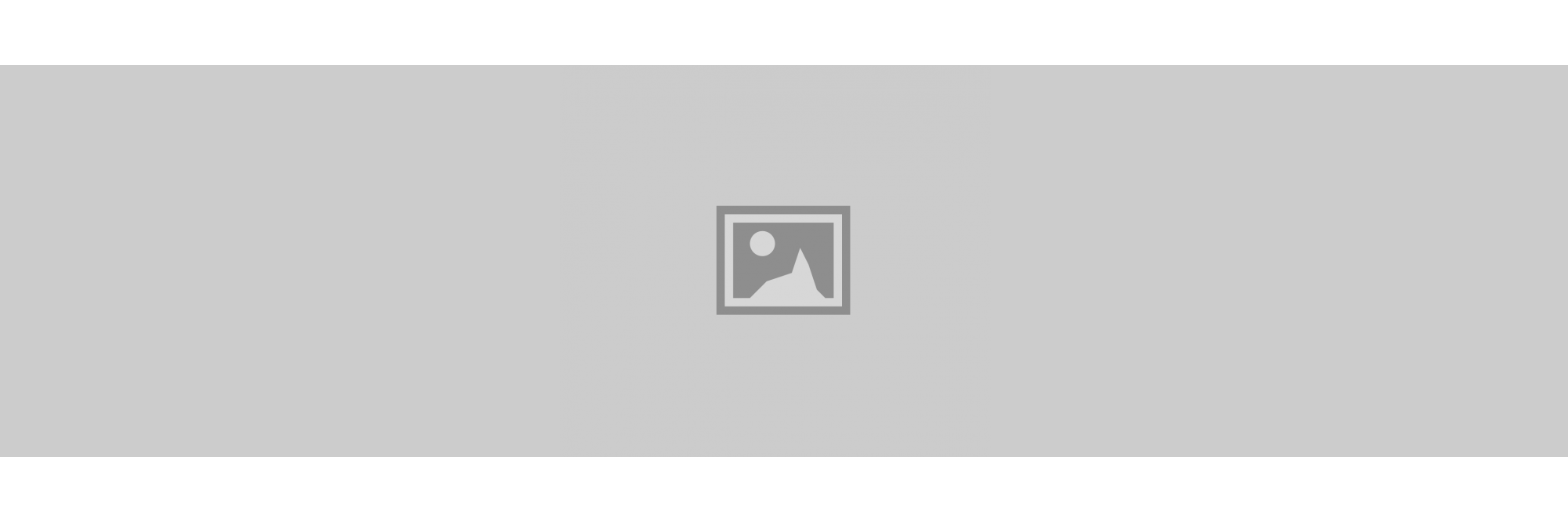 Last Banner